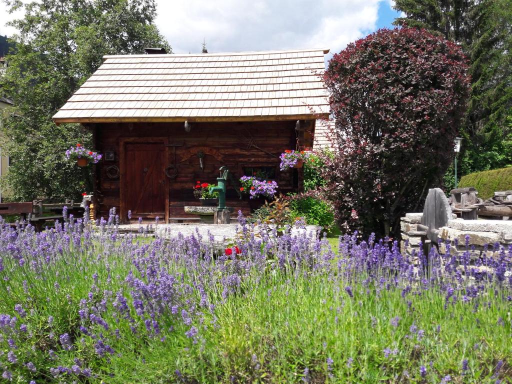 Zahrada ubytování Hotel Stegmühlhof