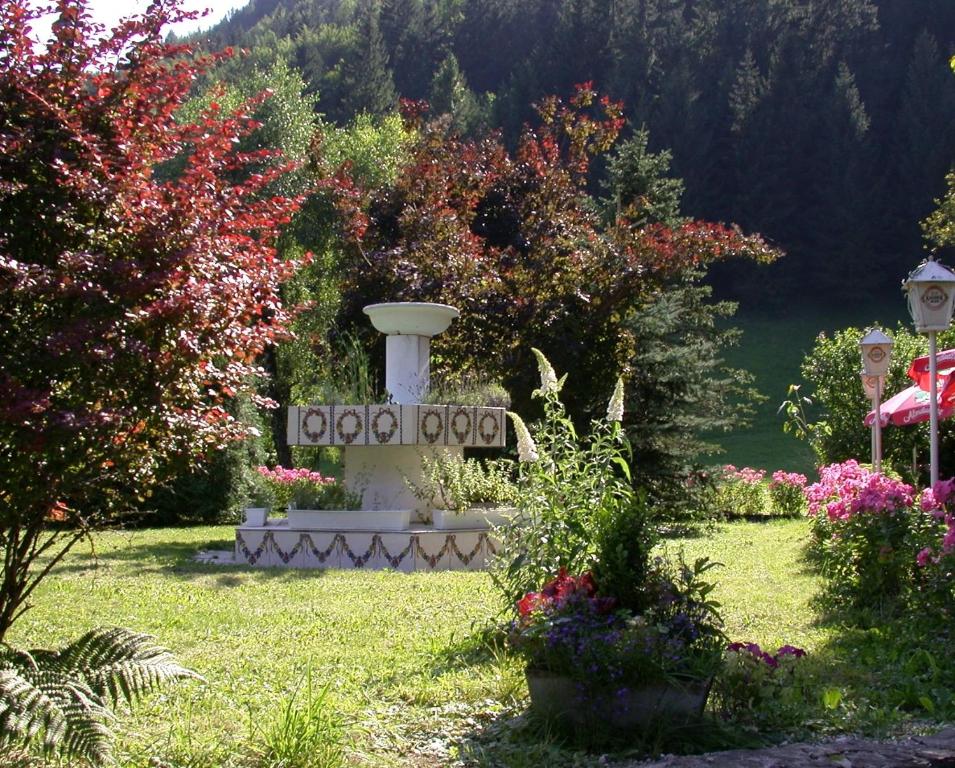 Fotografie z fotogalerie ubytování Gasthof Staudach v destinaci Hollenstein an der Ybbs