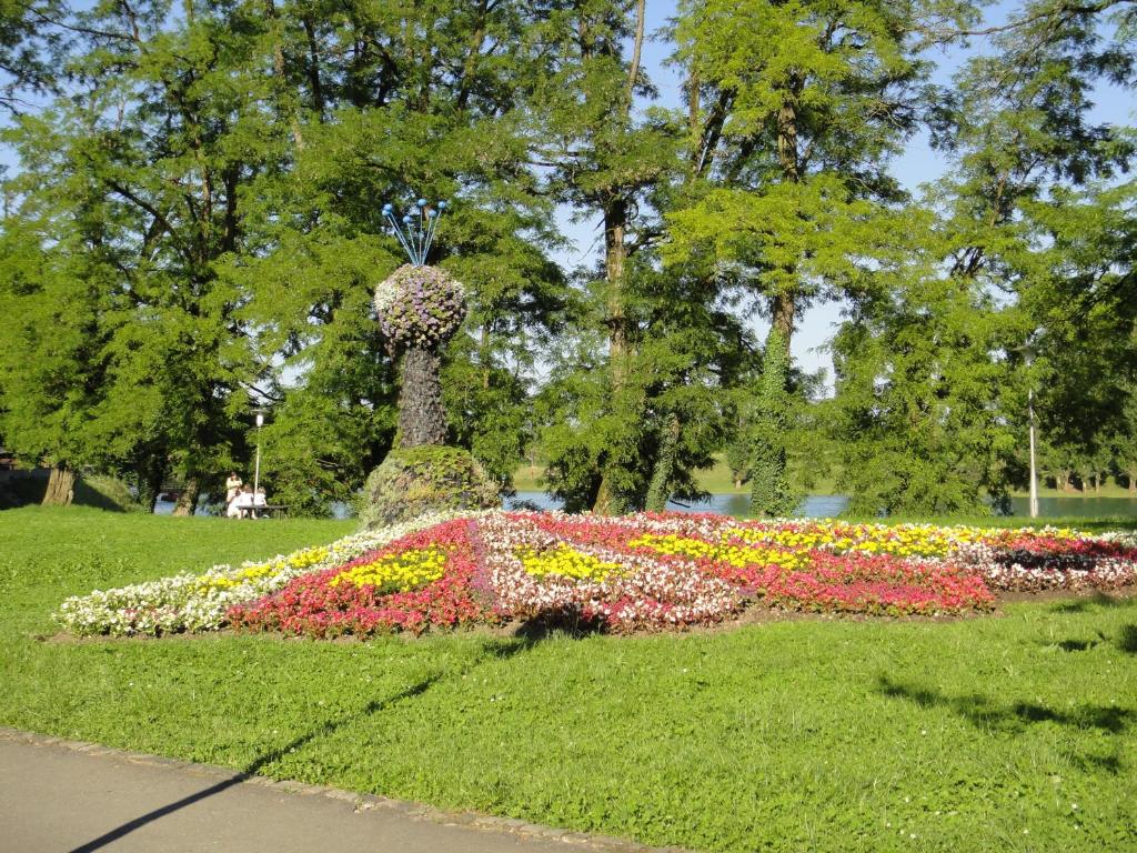 Zahrada ubytování Apartman Malina