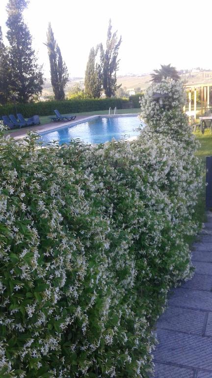 Basen w obiekcie Agriturismo Fattoria Rozzalupi lub w pobliżu