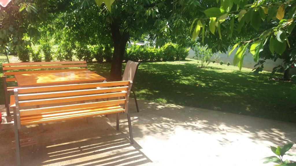 a wooden bench sitting under a tree in a park at Apartment Garden in Blagaj