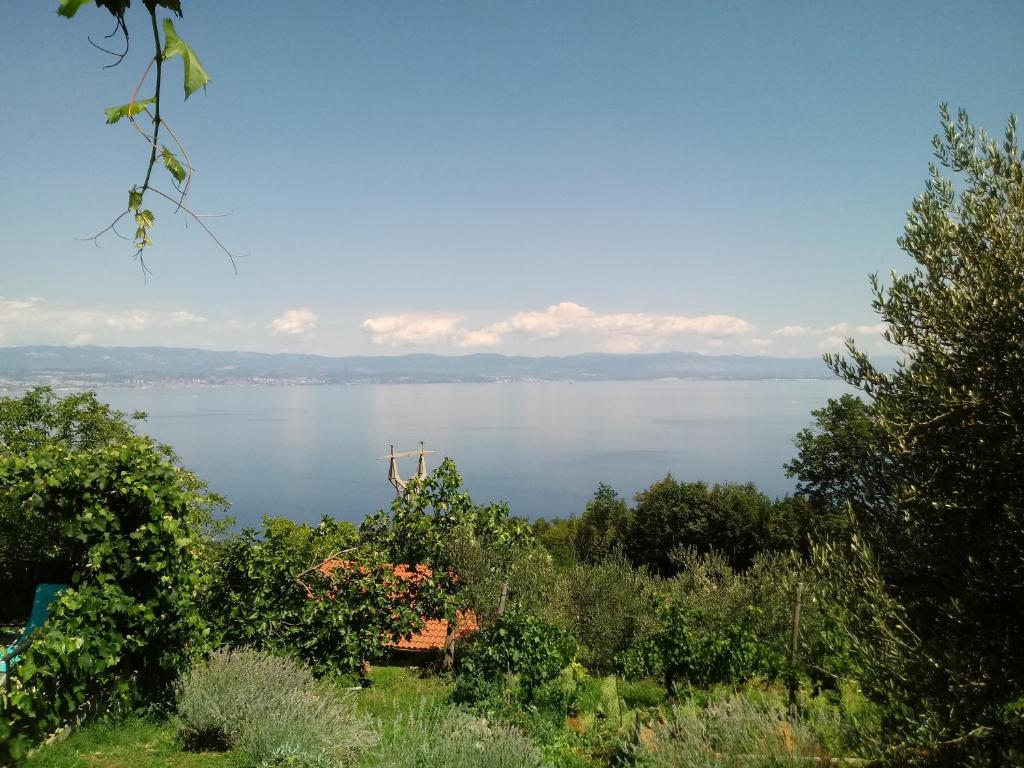 a view of a large body of water at Apartments Blue & Green in Mošćenička Draga