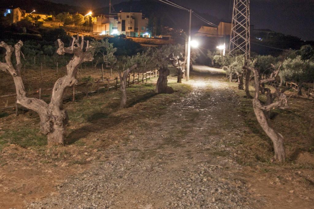 a dirt road with trees and a fence at night at La Giara B&B in San Demetrio Corone