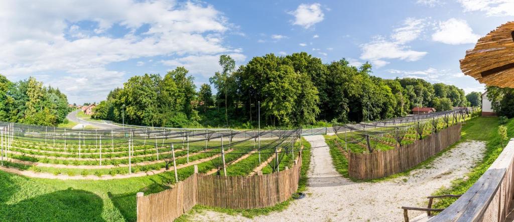 Zahrada ubytování Apartma Zemljanka