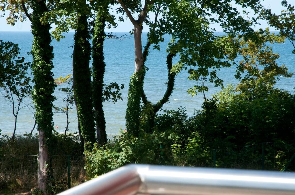レバルにあるGold Platinium apartament z widokiem na morzeの木々からの海の景色