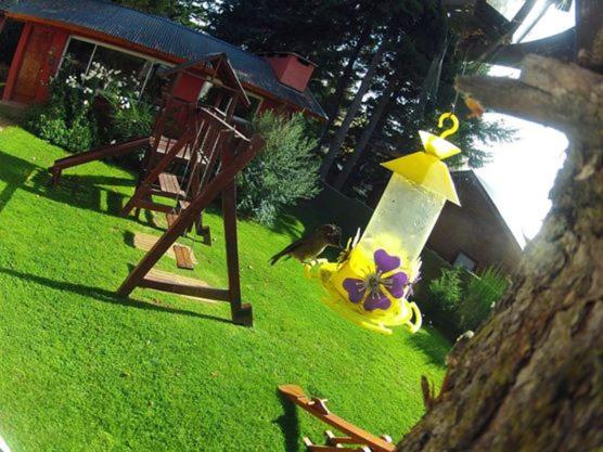 Zahrada ubytování Solar de las Araucarias
