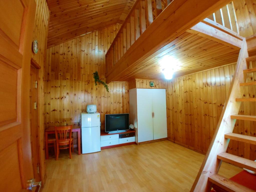 TV a/nebo společenská místnost v ubytování Nadeuri Pension