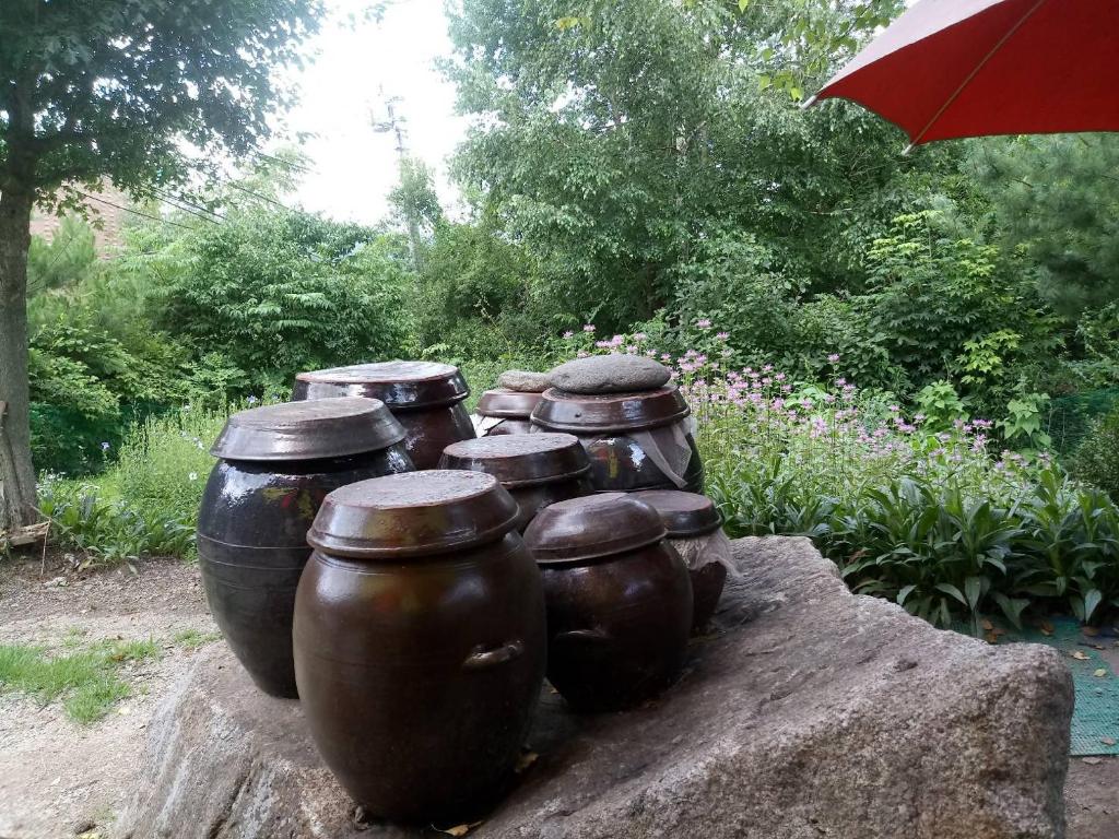 Zahrada ubytování Nadeuri Pension