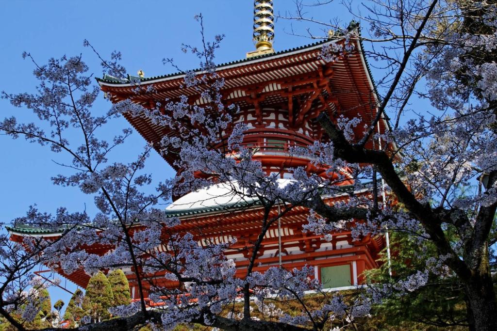 成田市にあるホテルウェルコ成田のギャラリーの写真