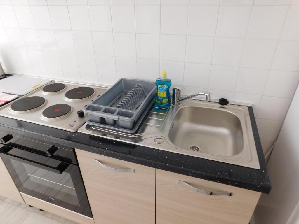 Kuchyň nebo kuchyňský kout v ubytování Apartments Leo Janjina