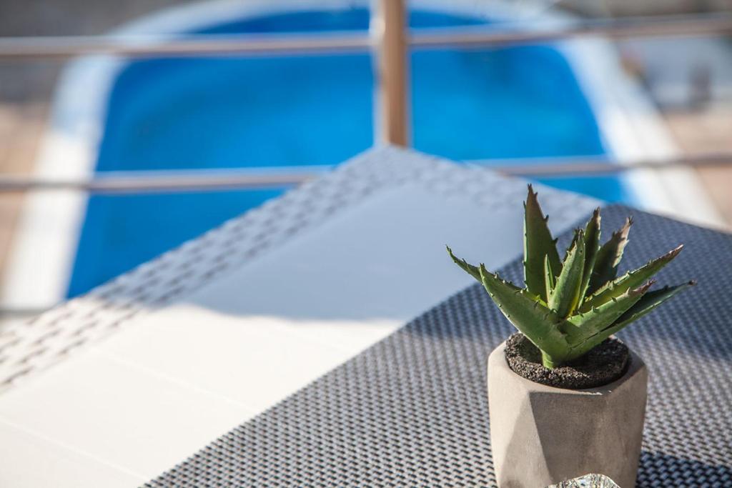 Vila Mila Riverside Apartments - Camera Familiare