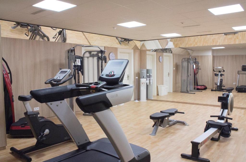 Gimnasio o equipo deportivo en Luxury Spa Hotel Olympic Palace