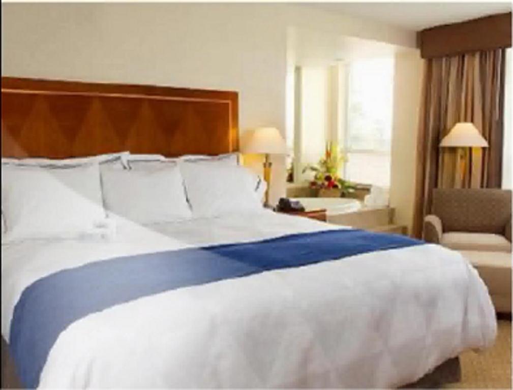 Postel nebo postele na pokoji v ubytování Hotel Executive Suites