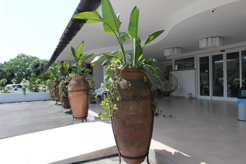 una fila de plantas en macetas en grandes ollas en un edificio en Love & Fama Hotel, en Sabaudia
