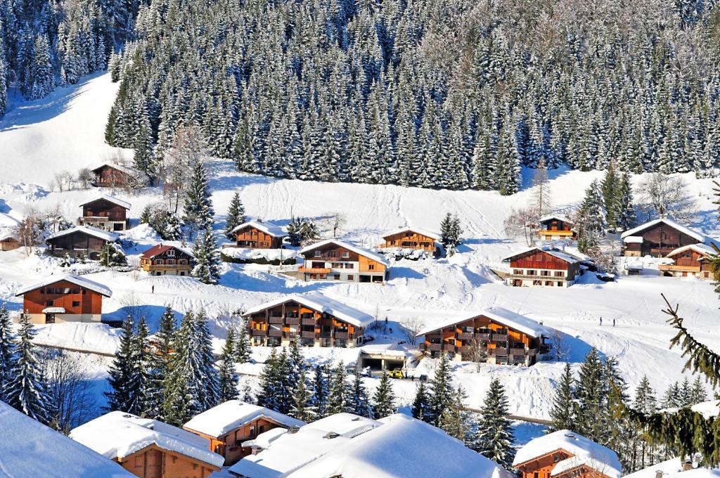 een dorp bedekt met sneeuw met bomen en gebouwen bij Azureva La Clusaz les Aravis in La Clusaz