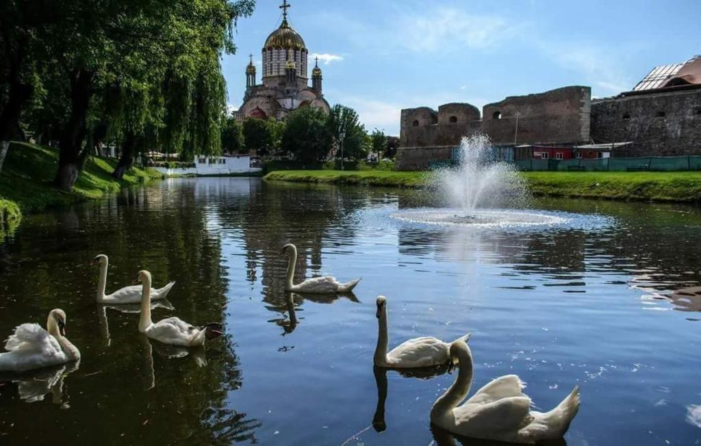 Výhled na řeku, která protéká v blízkosti penzionu