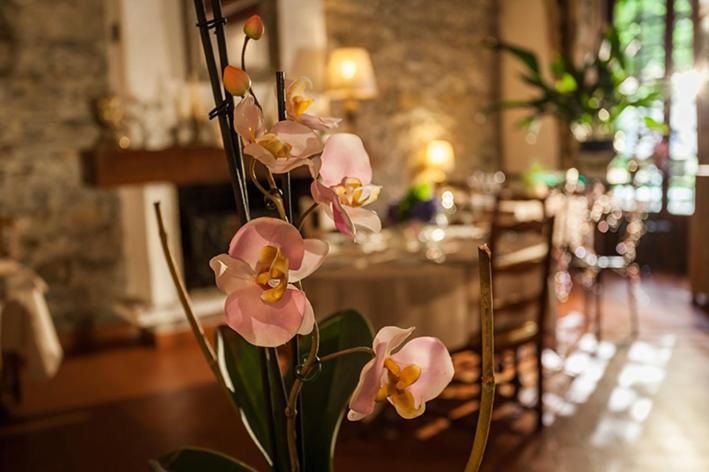 Fotografie z fotogalerie ubytování Logis Hostellerie Du Grand Duc hôtel restaurant v destinaci Gincla