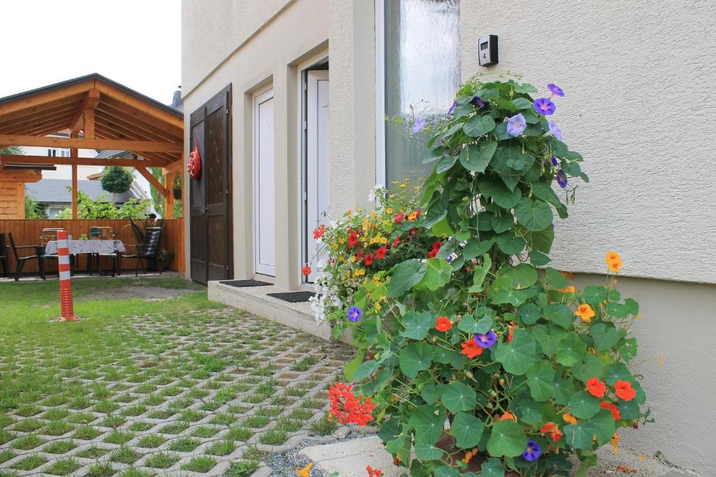 Zahrada ubytování Ferienwohnung MINA - Rattendorf