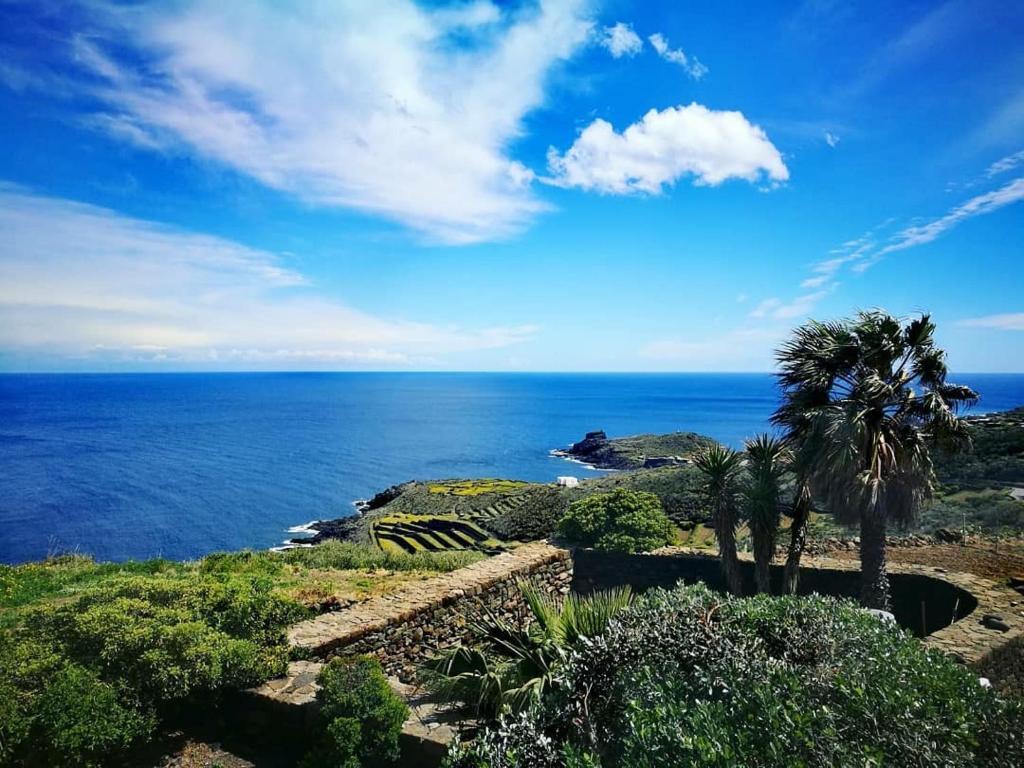 a view of the ocean with a palm tree at Dammuso Libeccio in Pantelleria