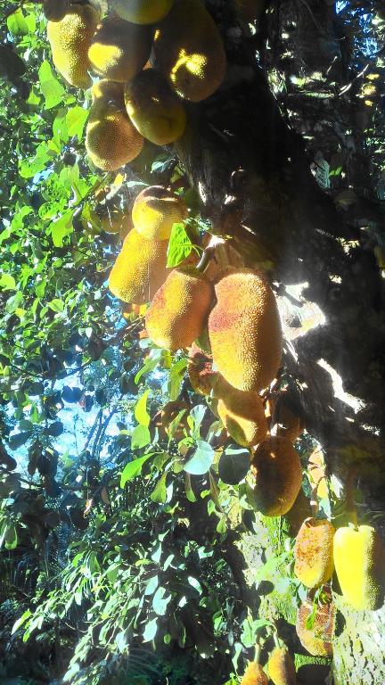  Chalé Rancho Aratama
