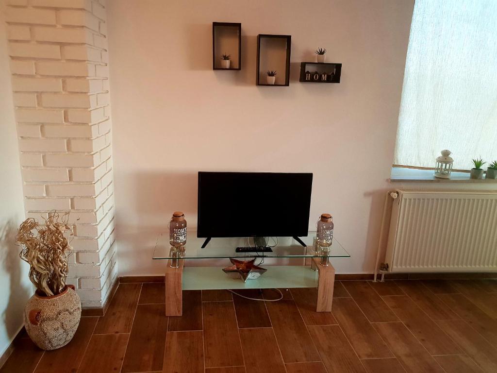 TV a/nebo společenská místnost v ubytování Apartments Petrović