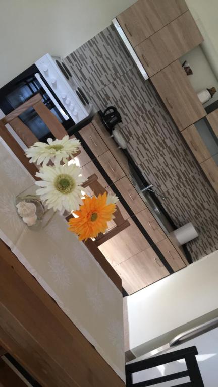 Kuchyň nebo kuchyňský kout v ubytování Armonia Apartment