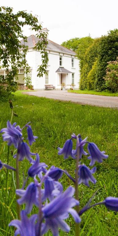 Gallery image of Ballyhenry House and Apartments in Limavady