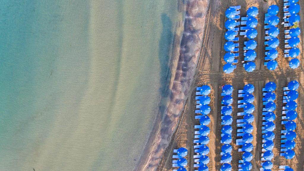 an overhead view of a bunch of blue cars parked next to the ocean at Lordos Beach Hotel & Spa in Larnaca