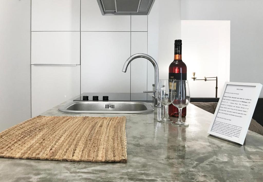 Fran Pacheco 39 (downtown apartment) - 2