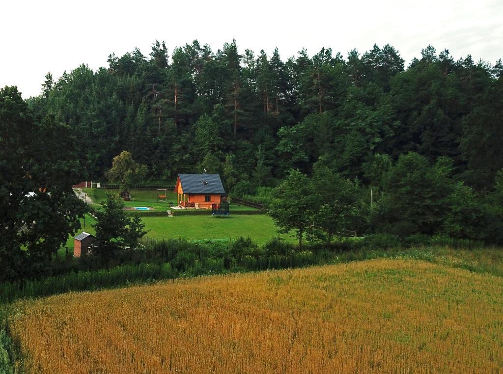 Príroda v okolí chaty v prírode