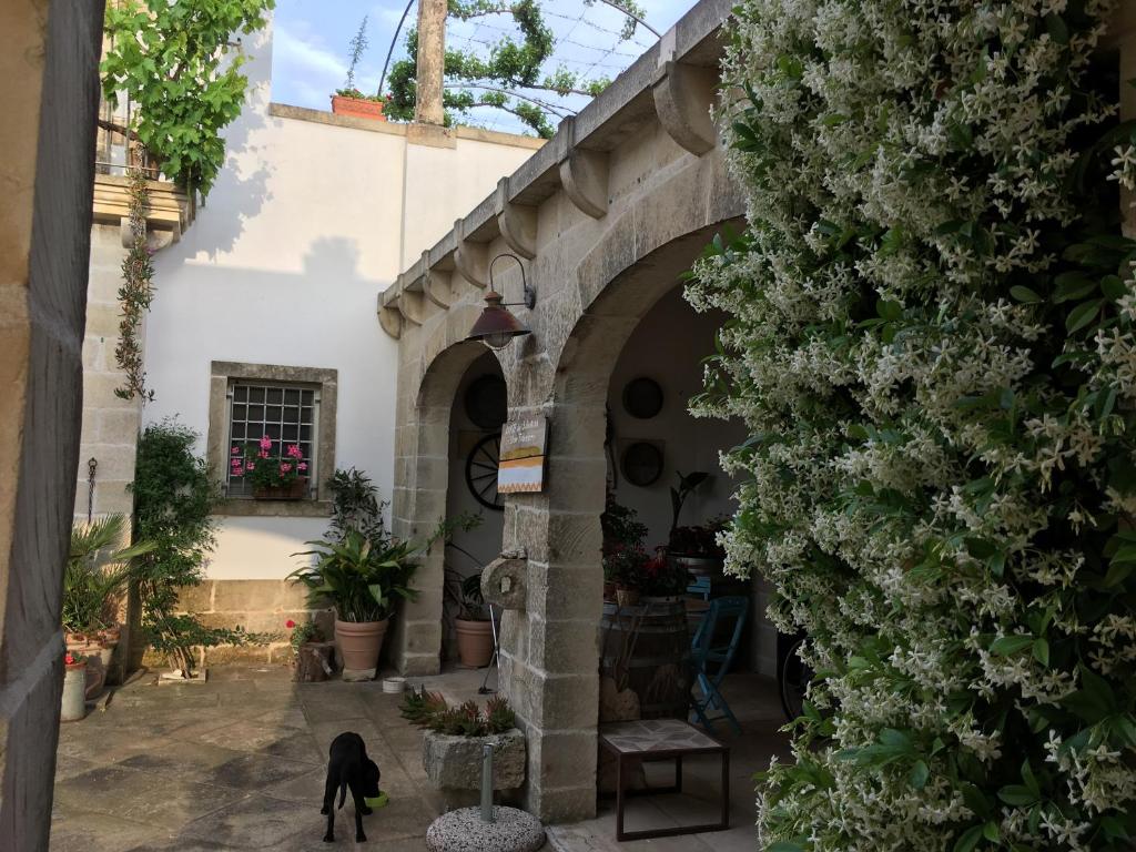 Fotografie z fotogalerie ubytování Corte dei Salentini v destinaci Carpignano Salentino