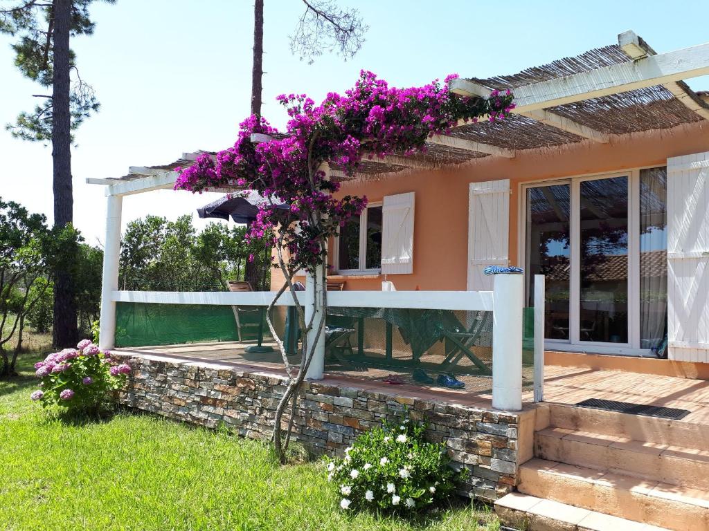 een huis met paarse bloemen erop bij Mini Villa à 100m de la mer avec prise de recharge élec privative in Sari Solenzara