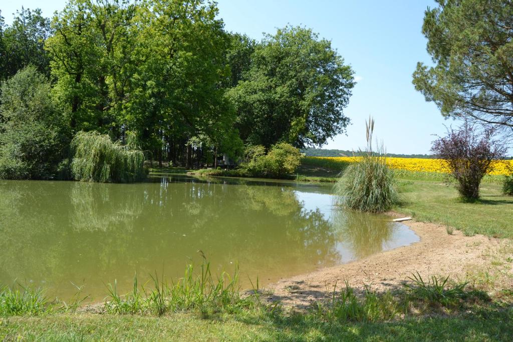 a pond in a park with trees and yellow flowers at mobil home du houx in Châtignac