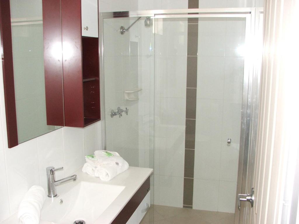a bathroom with a shower, sink, and mirror at Murray Valley Motel in Wodonga