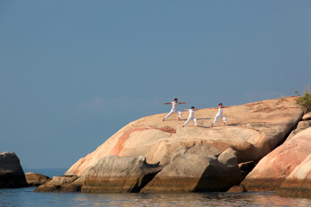 three birds standing on a rock in the water at Six Senses Ninh Van Bay in Ninh Van Bay
