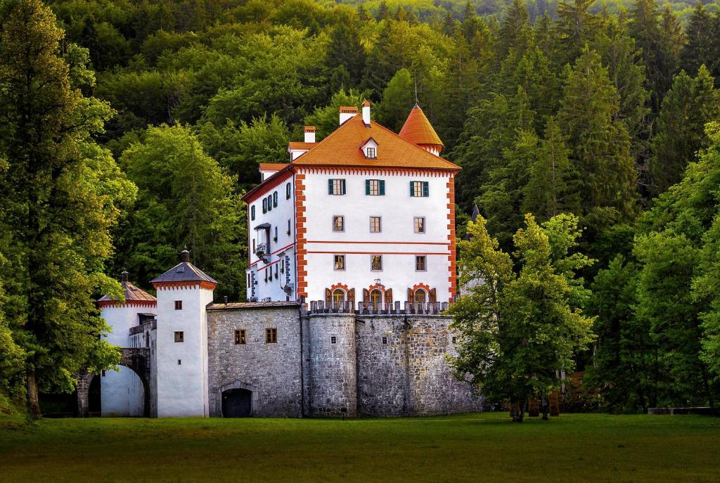 Příroda nedaleko hostelu