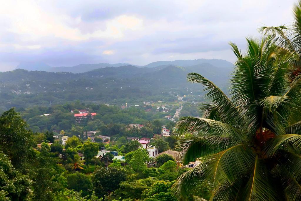Blick auf die Stadt von einer Palme in der Unterkunft The Change Hotel in Kandy