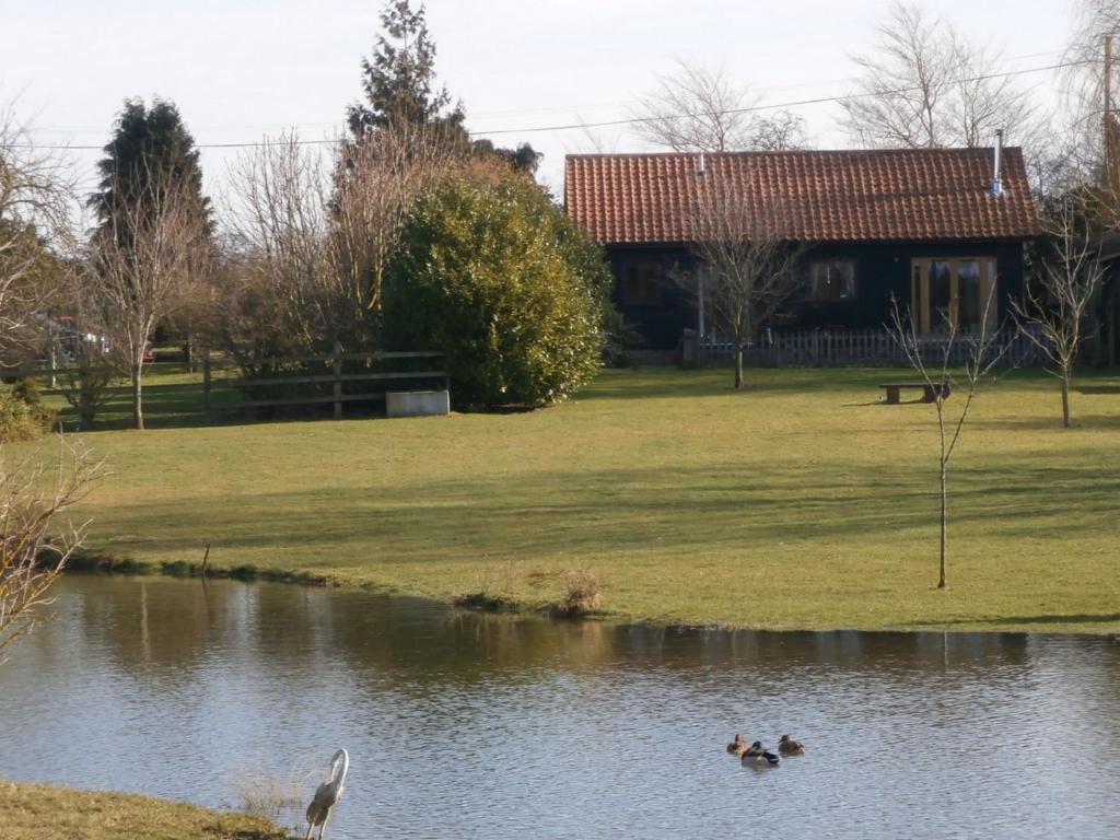 ein Haus mit drei Enten, die in einem Teich schwimmen in der Unterkunft Lake View in Mellis