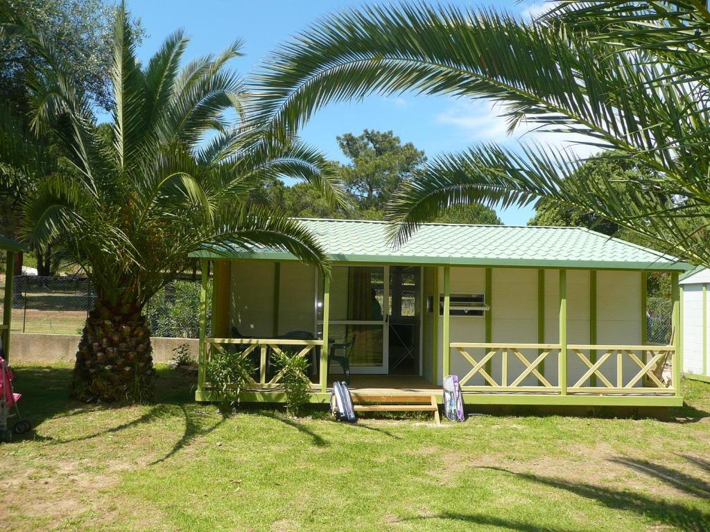 une petite maison jaune avec un palmier devant elle dans l'établissement ULVF U Libecciù **, à Calvi