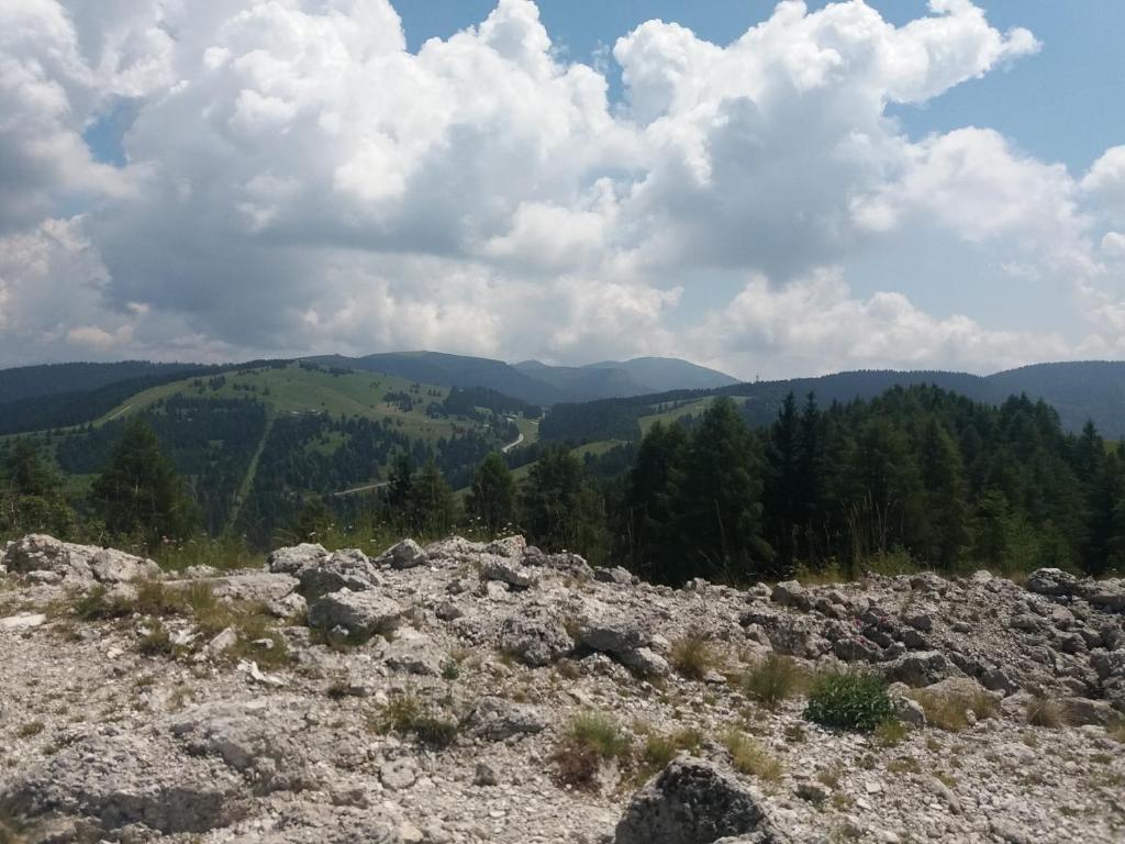 Príroda v okolí dovolenkového domu