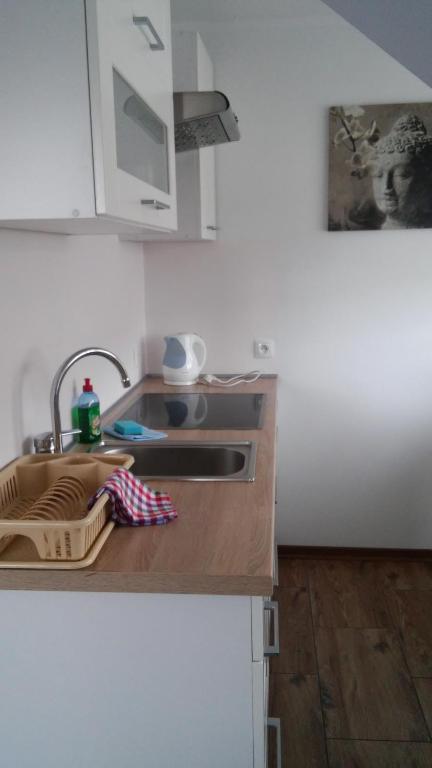 a kitchen counter with a sink and a sink at Apartamenty Pod Telegrafem in Kielce