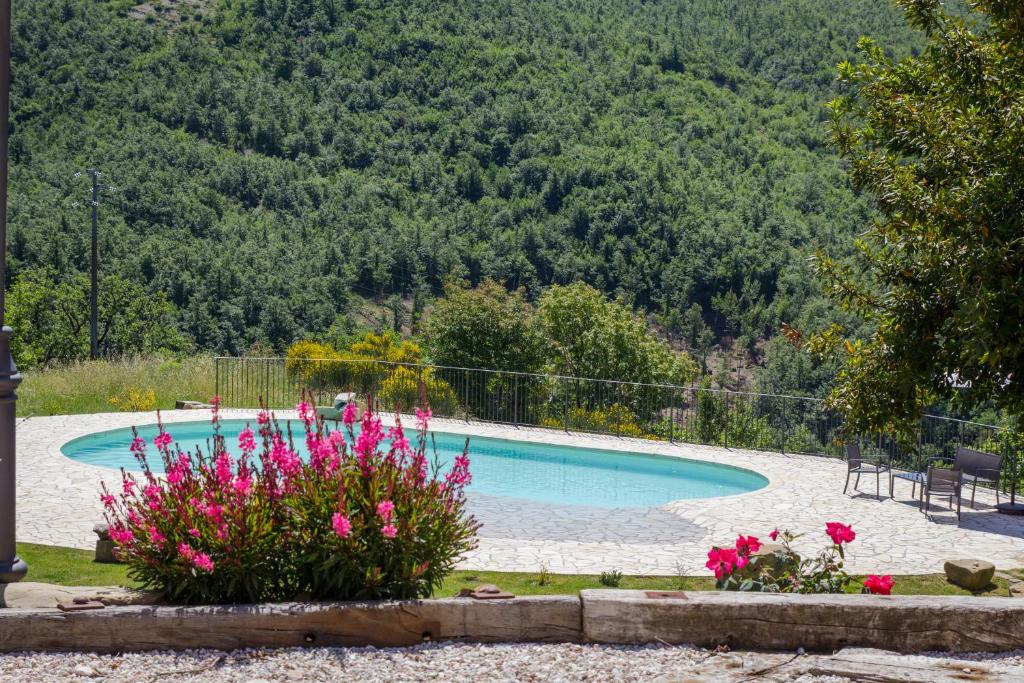 una piscina con flores rosas en un jardín en Valbuona b&b en Mercatello sul Metauro