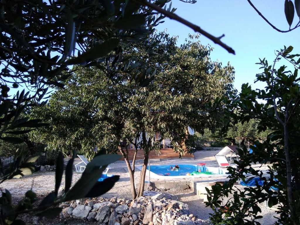 Bazén v ubytování Authentic Camping Dalmatia nebo v jeho okolí