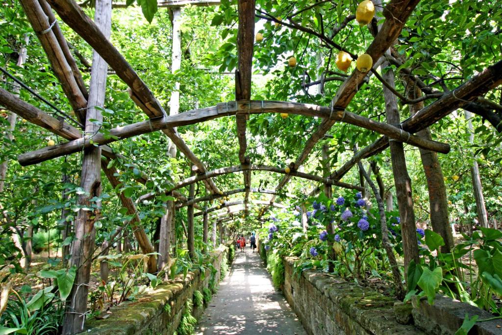 Vonkajšia záhrada v ubytovaní I Giardini di Cataldo Sorrento