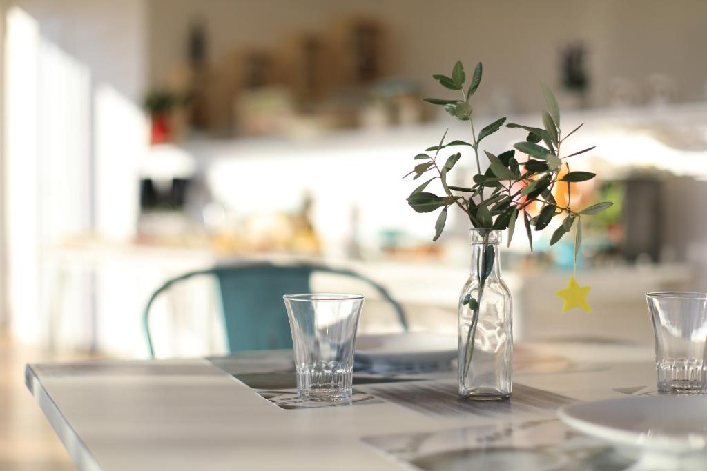 L'Ulivo e la Stella - foto 45