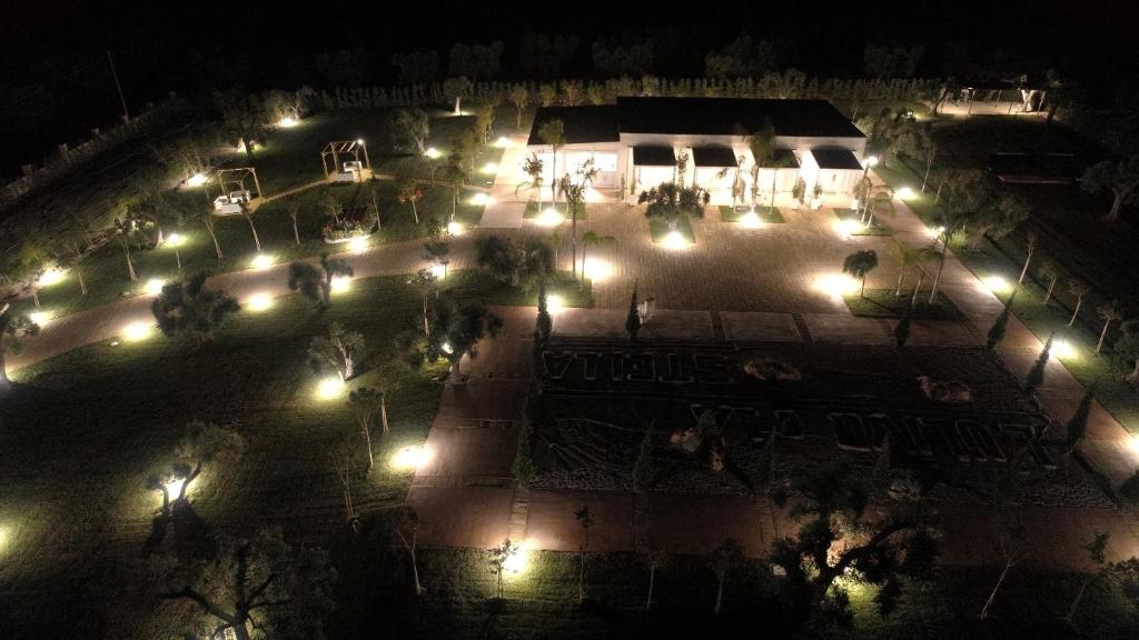 L'Ulivo e la Stella - foto 35