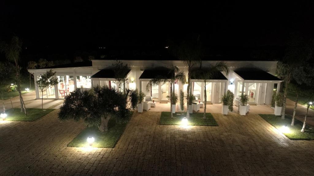 L'Ulivo e la Stella - foto 39