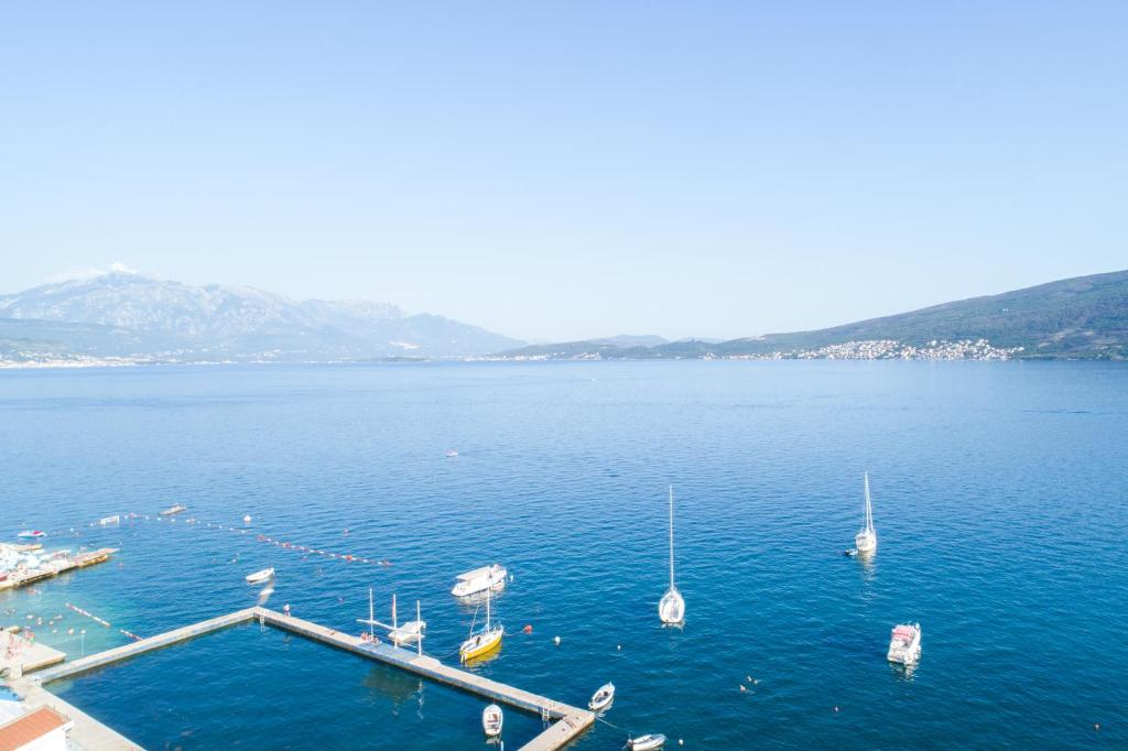 Gallery image of Olive Coast Apartments in Herceg-Novi