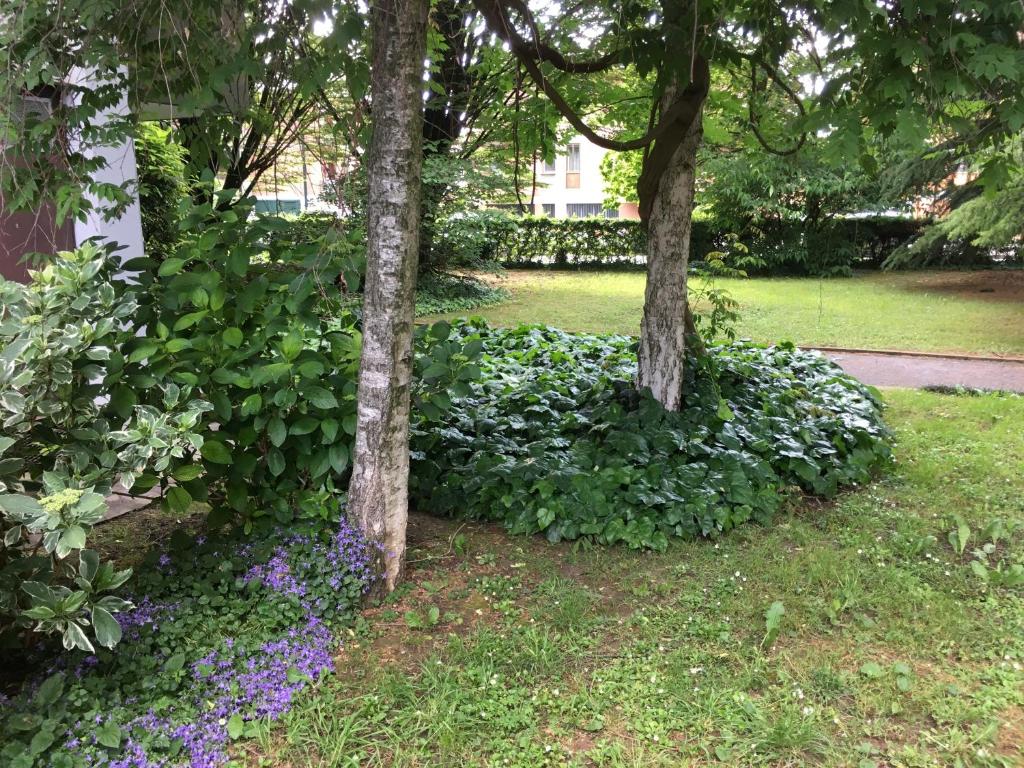 Zahrada ubytování Bed and Breakfast Bio Salix