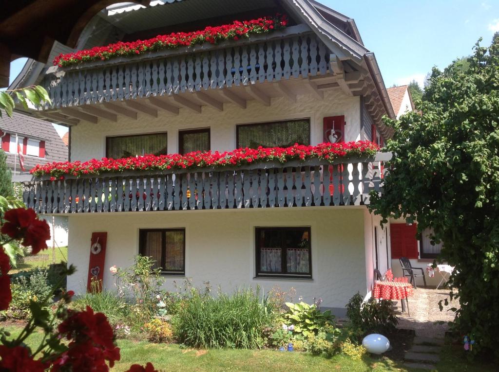 una casa con un balcón con flores rojas. en Ferienwohnung Pusteblume, en Alpirsbach